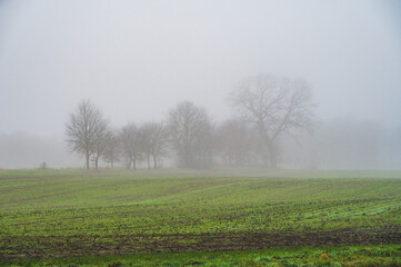 Celle, 02.01.2025