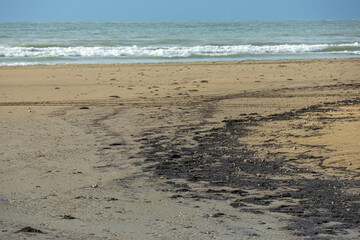 Fuel oil spill in the Kerch Strait. An ecological disaster that led to water pollution in the Black Sea and the death of animals. Pollution of nature. Fuel oil on the beach as a result of the spill.