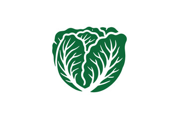 cabbage vector illustration isolated in white background