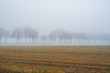 Celle, 02.01.2025