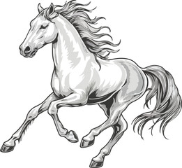 horse vector art and illustration