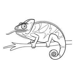 Simple, Easy, and Large Print Designs for Adults and Kids. Bold and easy coloring page