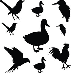 set of silhouettes of birds