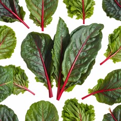 Chard herb isolated on white background