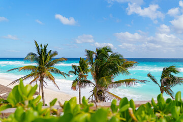 Fototapeta premium Tropical Beach Paradise featuring Lush Palm Trees and Beautiful Azure Waves Undoubtedly