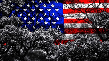 image of the American flag merging with a dark forest, where the trees appear twisted and shadows dominate, symbolizing confusion, sadness, and the overwhelming feeling of depression. [Flag 