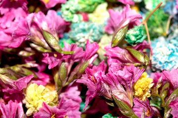 Colourful Tiny Little Flower Petals Mulicoloured Close Up for Background