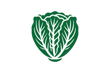 simple and unobtrusive Cabbage vector silhouette illustration isolated in white background
