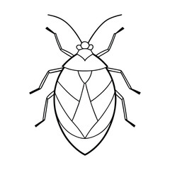 Shield Bug (Pentatomoidea) silhouette design, labeled line art vector illustration.