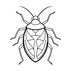 Shield Bug (Pentatomoidea) silhouette design, labeled line art vector illustration.