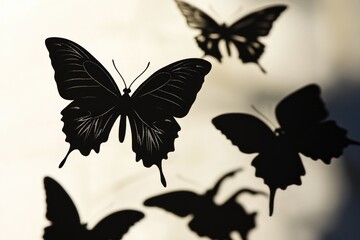 Group of colorful butterflies flying in mid-air, great for travel or nature-themed projects