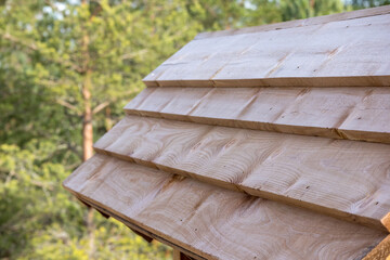 
wooden bulletin board canopy in the forest