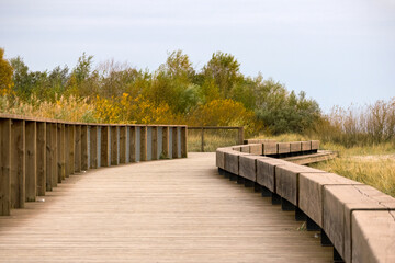 Fototapeta premium A curving wooden bridge winds along the beach