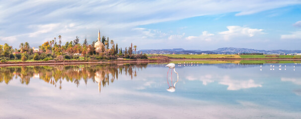 Panorama. Cyprus - Larnaca, aliki Hala sultan mosque midday winter 