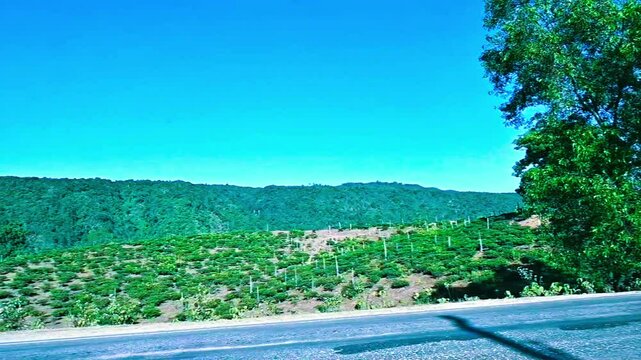 Mountain hill view of jaflong Bangladesh