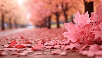 red maple leaves