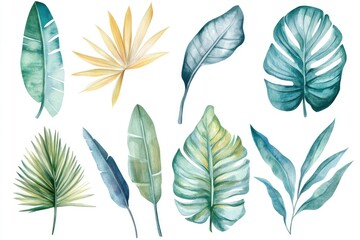Fototapeta premium A set of colorful tropical leaves painted in watercolor style, great for decoration or design purposes