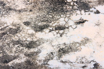 stone wall texture