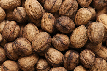 Heap of walnuts in shell, close-up, top view. Healthy eating. Harvest, agriculture. Walnuts, selective focus, background