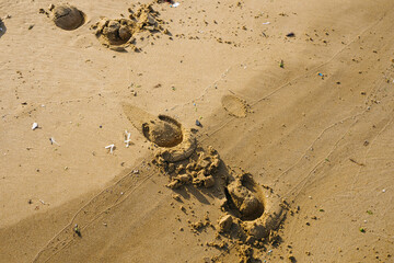 horse tracks in the sand. microplastics in the sand at sea