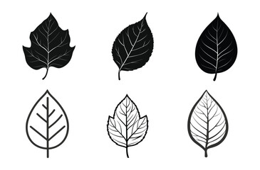 Obraz premium Set of Autumn Leaves Vector Silhouette Designs