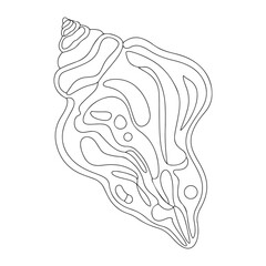 shell coloring page design clear background, mandalas design, and print design