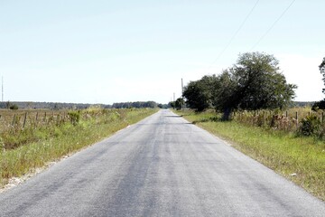 Fototapeta premium Country Road