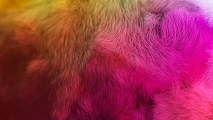Gradient fur background transitioning from vibrant orange to soft pink and rich violet, creating a stunning visual texture that captivates with its colorful, plush design
