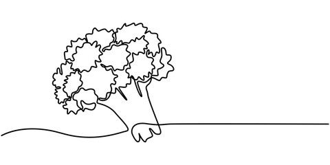 Continuous one line drawing of broccoli. One line drawing illustration of whole healthy organic green broccoli. fresh vegetable concept continuous line art. Editable outline, Fresh Broccoli Continuous