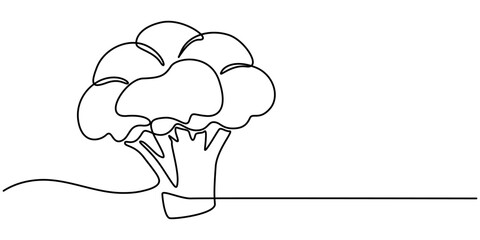 Continuous one line drawing of broccoli. One line drawing illustration of whole healthy organic green broccoli. fresh vegetable concept continuous line art. Editable outline, Fresh Broccoli Continuous