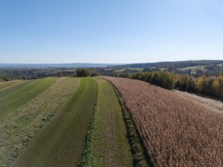 Aerial view of green and brown fields under a clear blue sky, showcasing the beauty of rural landscape and farmland