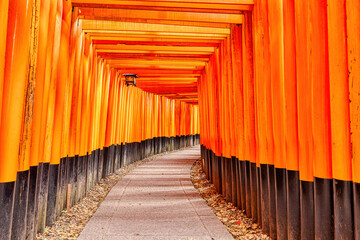 Japan - Kyoto 21 November 2024:Kyōto World Heritage Site Kinkakuji Temple