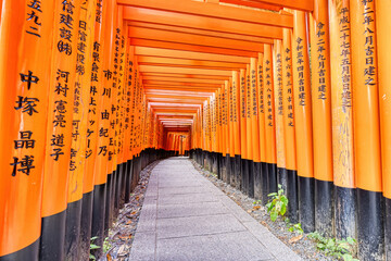 Japan - Kyoto 21 November 2024:Kyōto World Heritage Site Kinkakuji Temple
