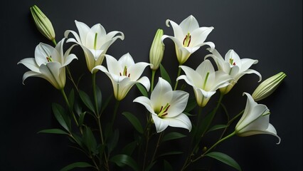 Obraz premium Elegant White Lily Condolence Card, Serene Floral Arrangement on Black Background - Sympathy, Funeral, Remembrance