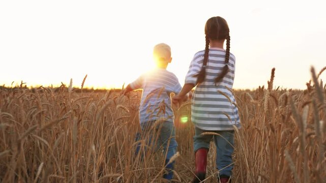 Cheerful kids running rushing playing catch up at golden sunset in wheat field. Children friends girl boy siblings family kids playing together in setting sun in field among yellow ears of wheat.