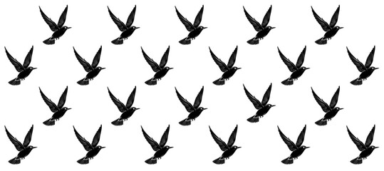 Pattern with black silhouette of birds flight in the white background