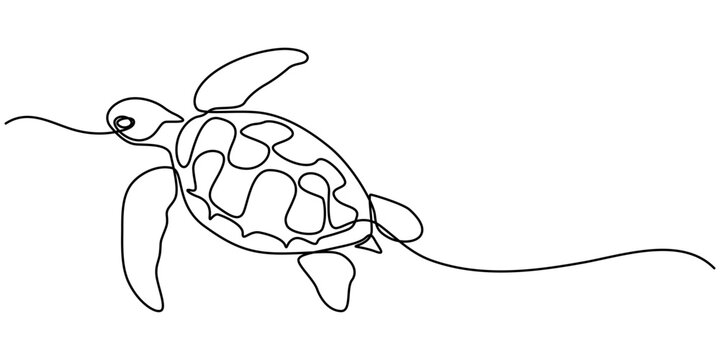 Continuous one line drawing of turtle. Simple illustration of tortoise line art vector illustration, Continuous one line hand drawn of a Leatherback turtle swimming in the Turquoise color sea water. 