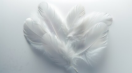 Obraz premium A heart-shaped arrangement of translucent white feathers against a white background.