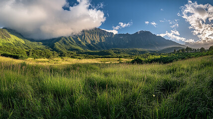 Obraz premium Lush green landscape with mountains under a blue sky in Hawaii during golden hour