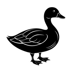 Duck Silhouette vector illustration