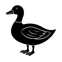 Duck Silhouette vector illustration