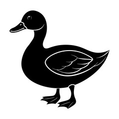 Duck Silhouette vector illustration