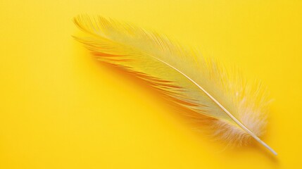 Fototapeta premium Vibrant yellow feather isolated on bright backdrop showcasing intricate details and softness ideal for design and nature themes