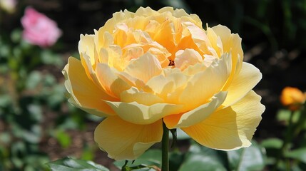 Vibrant yellow flower blossoming in a lush garden setting showcasing nature's beauty and the essence of springtime floral elegance