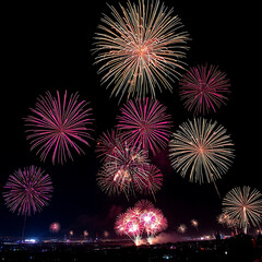 fireworks in the night sky