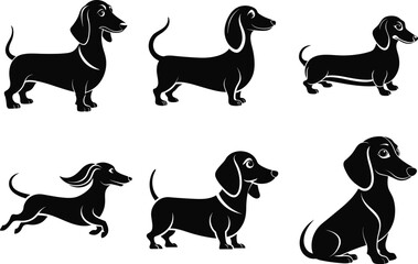 Dachshund Vector silhouette illustration of a dog on a white background design
