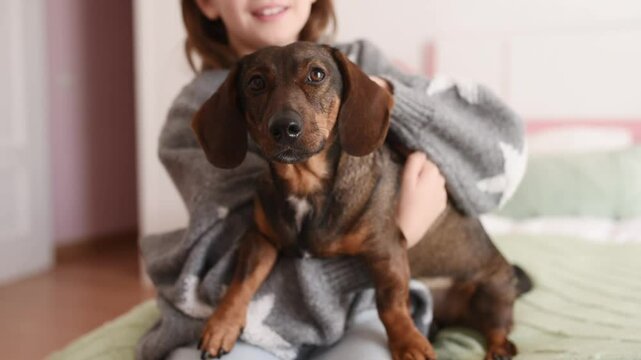 A girl holds a brown dachshund dog in her arms