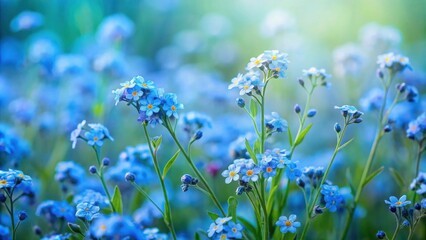 Serene Meadow of Delicate Blue Forget-Me-Nots in Soft Sunlight
