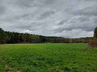 field and cloudy sky