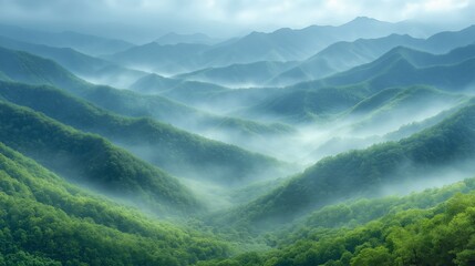 A misty mountain landscape with layers of lush green hills, symbolizing tranquility and harmony while showcasing the untouched beauty of nature’s serene environments